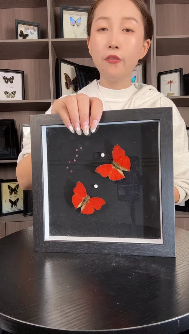 实木竖款血漪蛱蝶（蝴蝶装饰画8寸框）