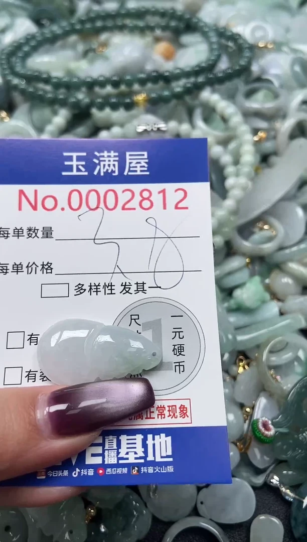 颈饰未镶嵌翡翠2812