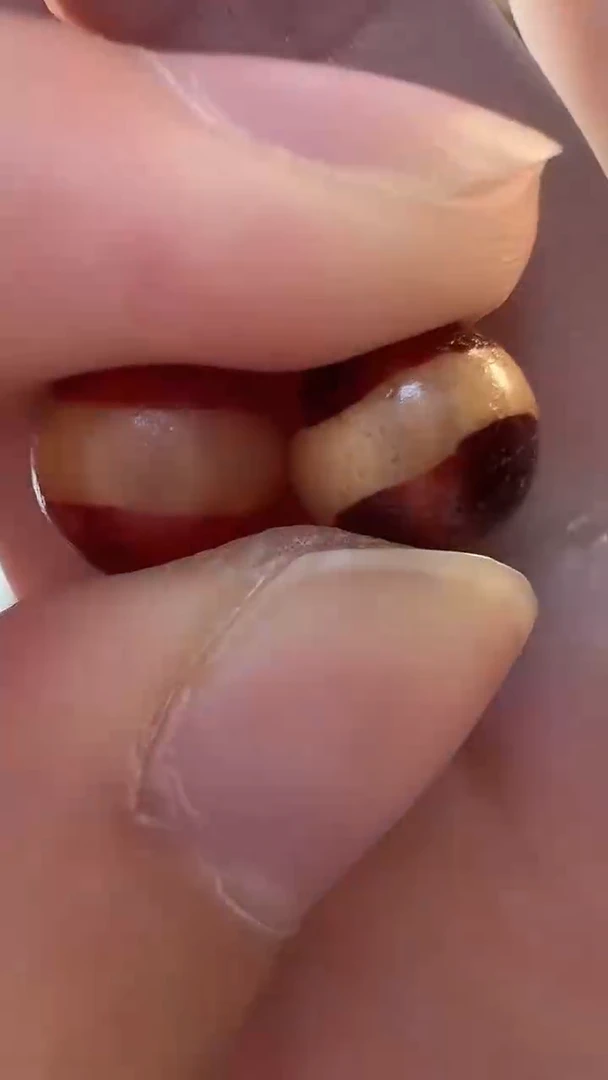 玛瑙/玉髓颈饰未镶嵌16(微瑕随机发货）