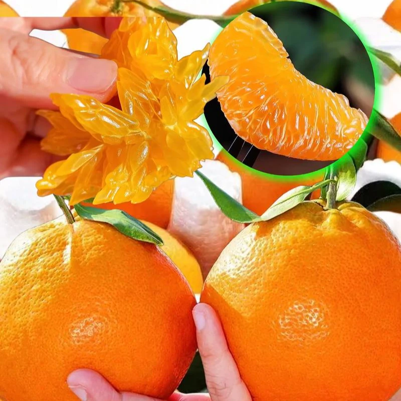 正宗四川春见耙耙柑新鲜采摘(徐同学)