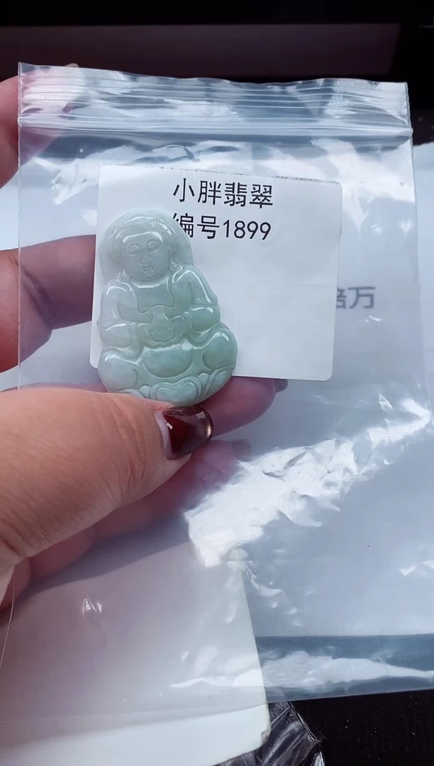 颈饰未镶嵌翡翠缅甸天然A货翡翠1899