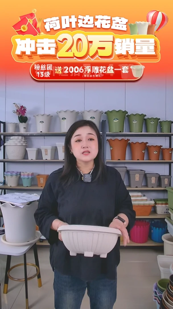 3个白色欧吊盆，26内径，带链条