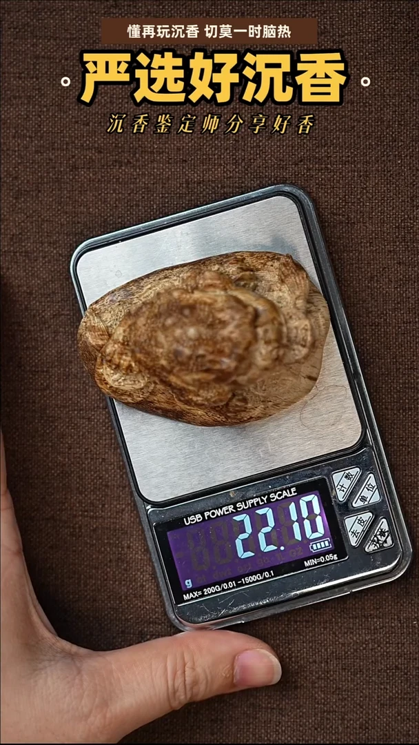 摆件沉香奇楠沉香  金蝉