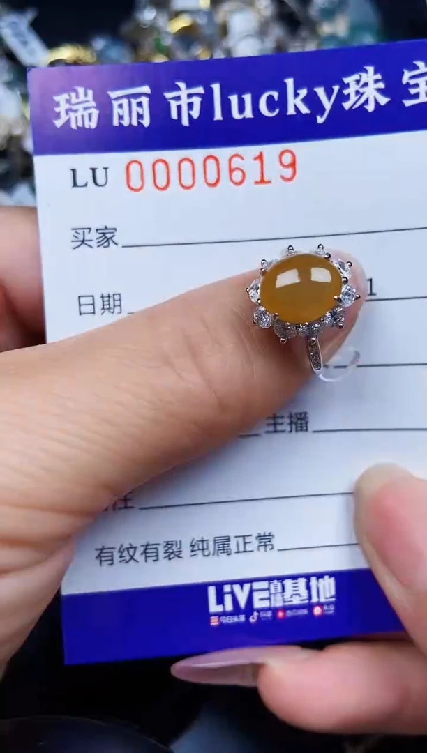 翡翠银S925镶嵌颈饰0619