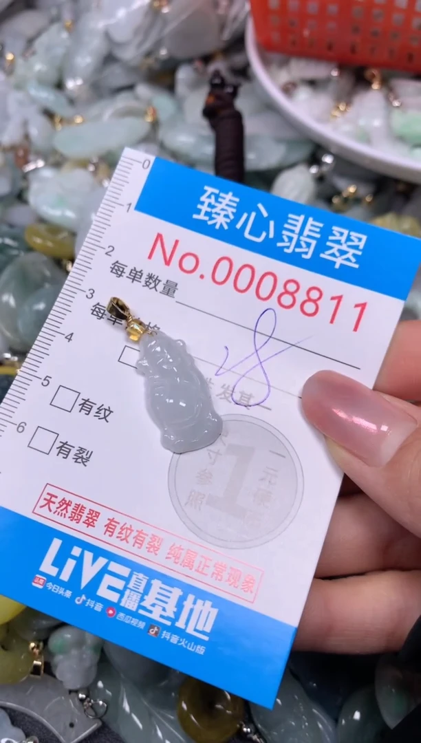 【闪购商品】翡翠颈饰未镶嵌含绳0008811