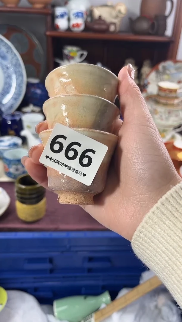 【闪购商品】瓷片666.............