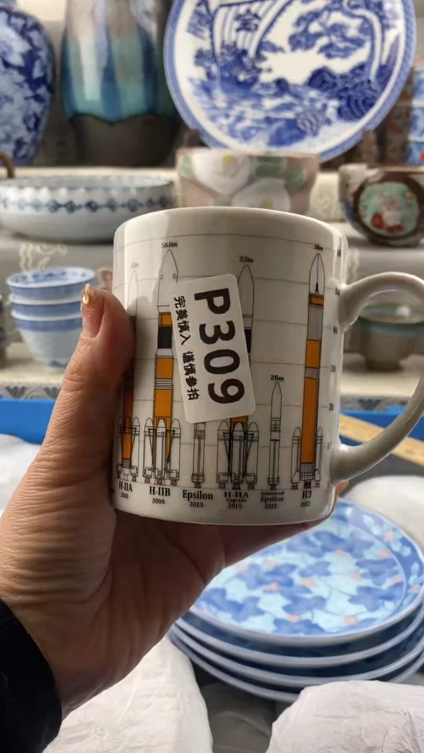 【闪购商品】309