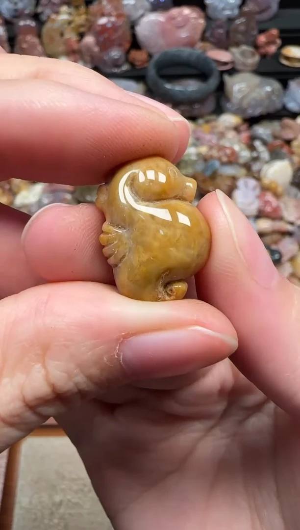 颈饰未镶嵌硅化珊瑚（珊瑚玉）733