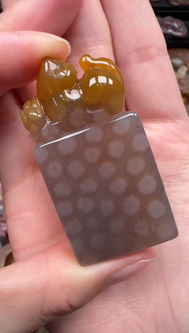 颈饰未镶嵌硅化珊瑚（珊瑚玉）120
