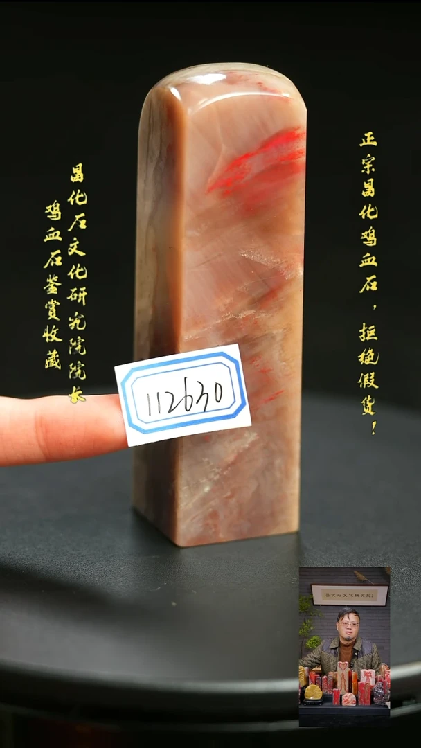 昌化石柏*林112630