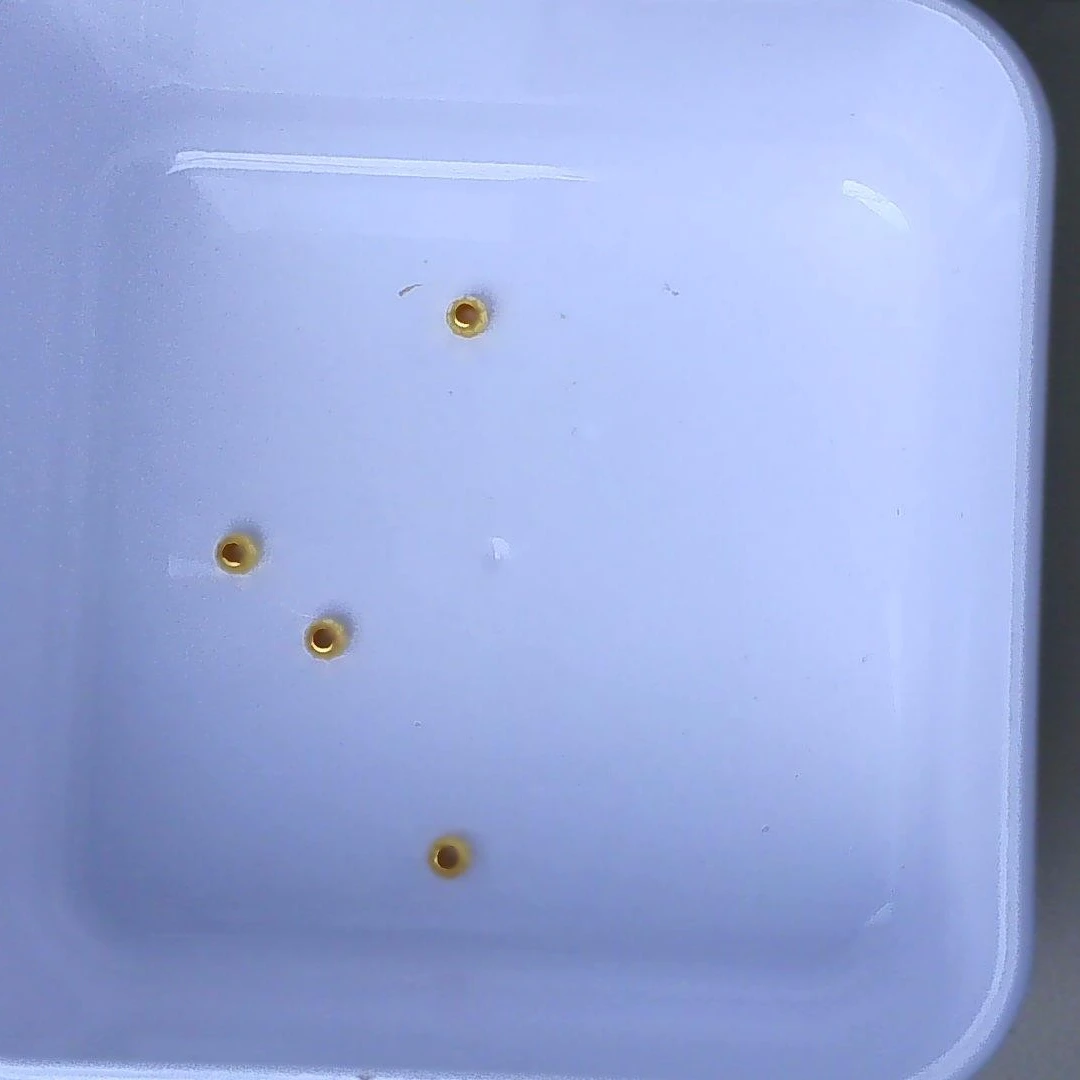 黄金足金小金 豆