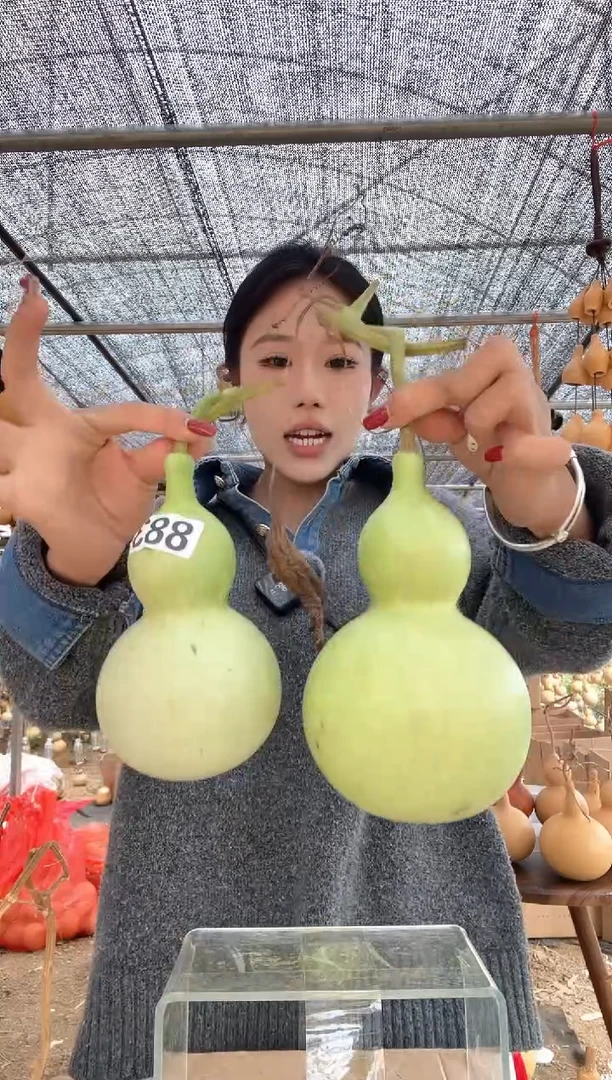 883天然葫芦摆件 一物一拍龙头不保售后两个