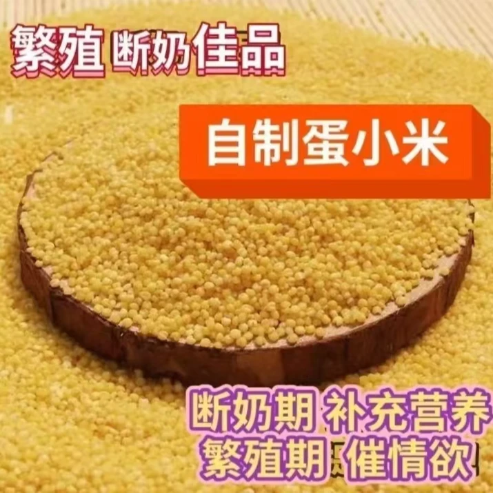 鹦鹉断奶繁殖专用蛋小米高营养