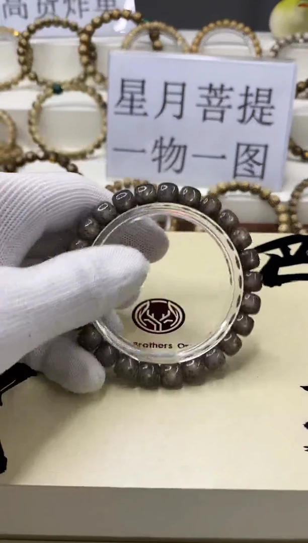 手串星月菩提一物一图-W2-191