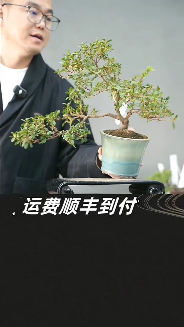 无花朵13