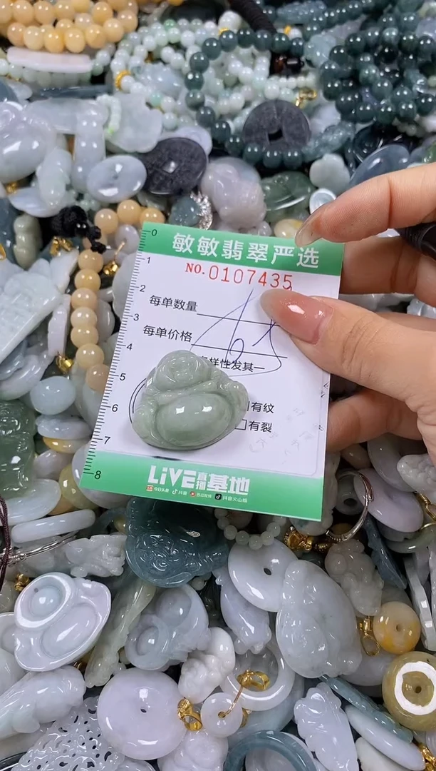 【闪购商品】翡翠颈饰未镶嵌闪购0107435多样性发其一