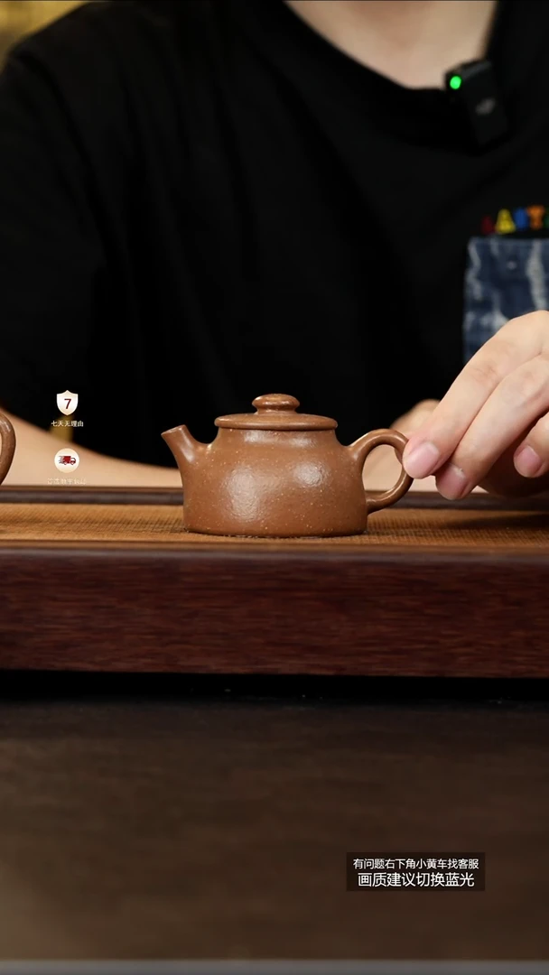茶壶紫砂范玉红原矿8目青降坡圆福