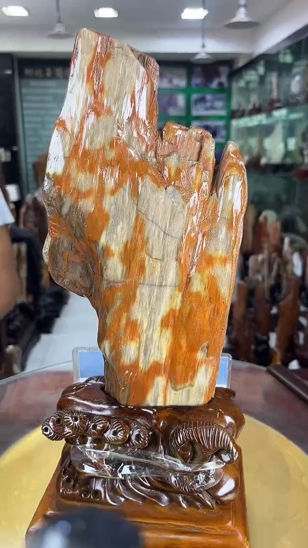 未镶嵌珠宝奇石硅化玉缅甸天然树化玉摆件