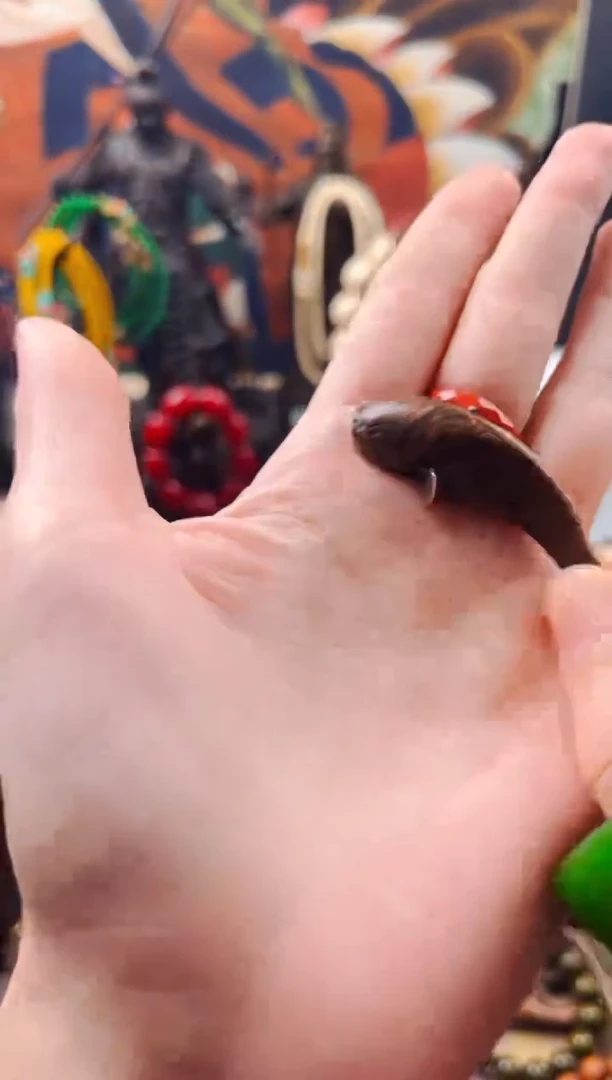 【闪购商品】飞姐专属精品推荐213