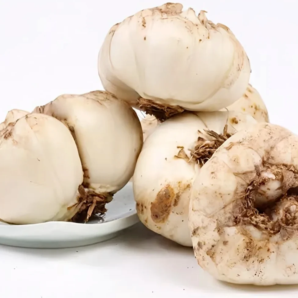 云南高山露天百合新鲜带泥蔬菜自种现挖现发产地直发