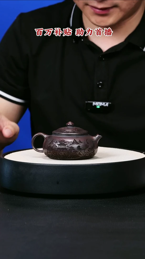 茶壶紫砂宜兴紫砂14