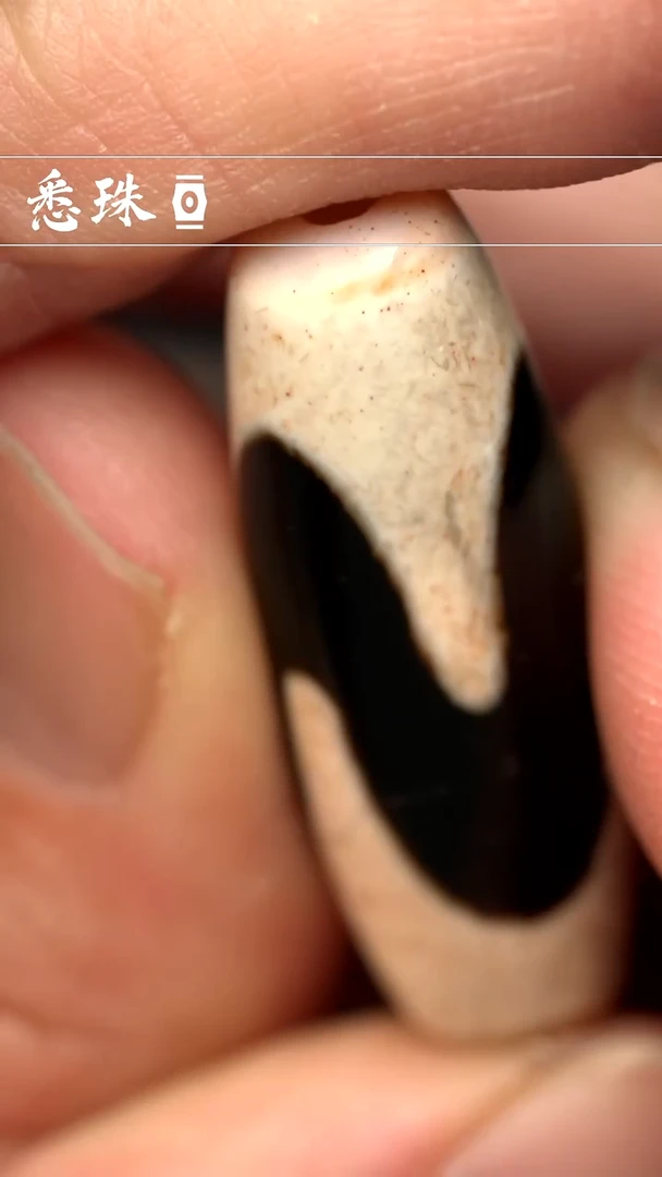 『至纯系列』 手工天珠 超顶 虎牙