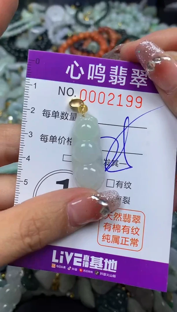 【闪购商品】翡翠颈饰未镶嵌闪购002199