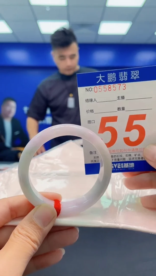 未镶嵌手镯翡翠AAAAAAAAA