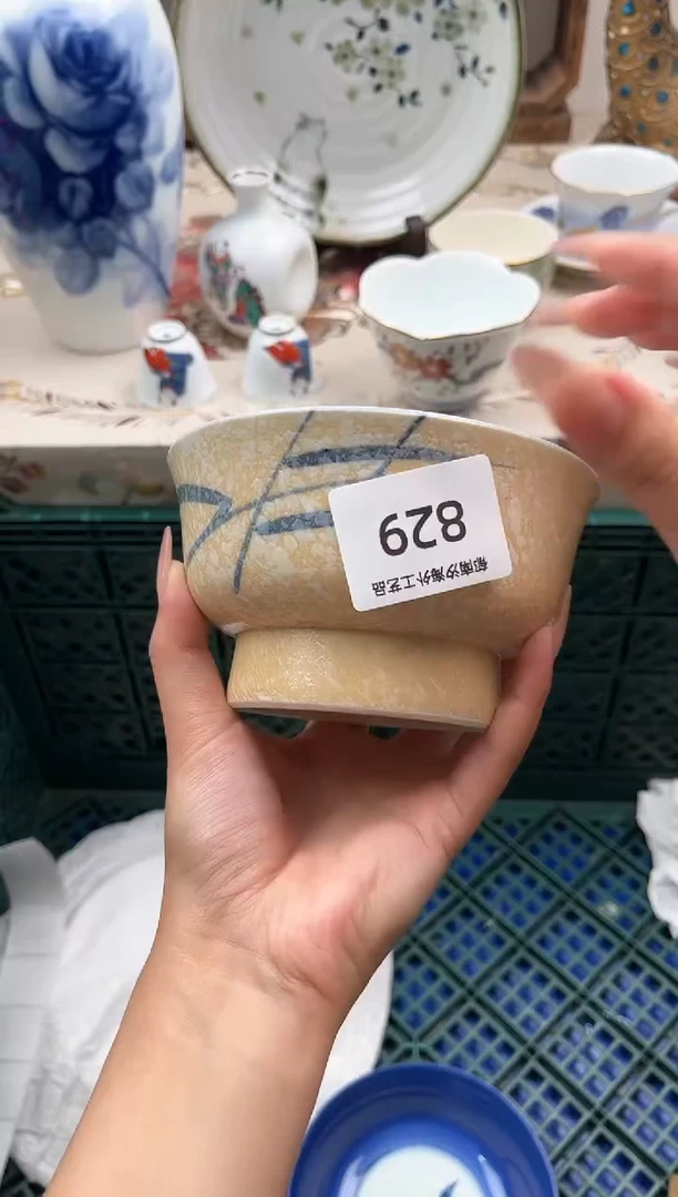 瓷片素*R         829