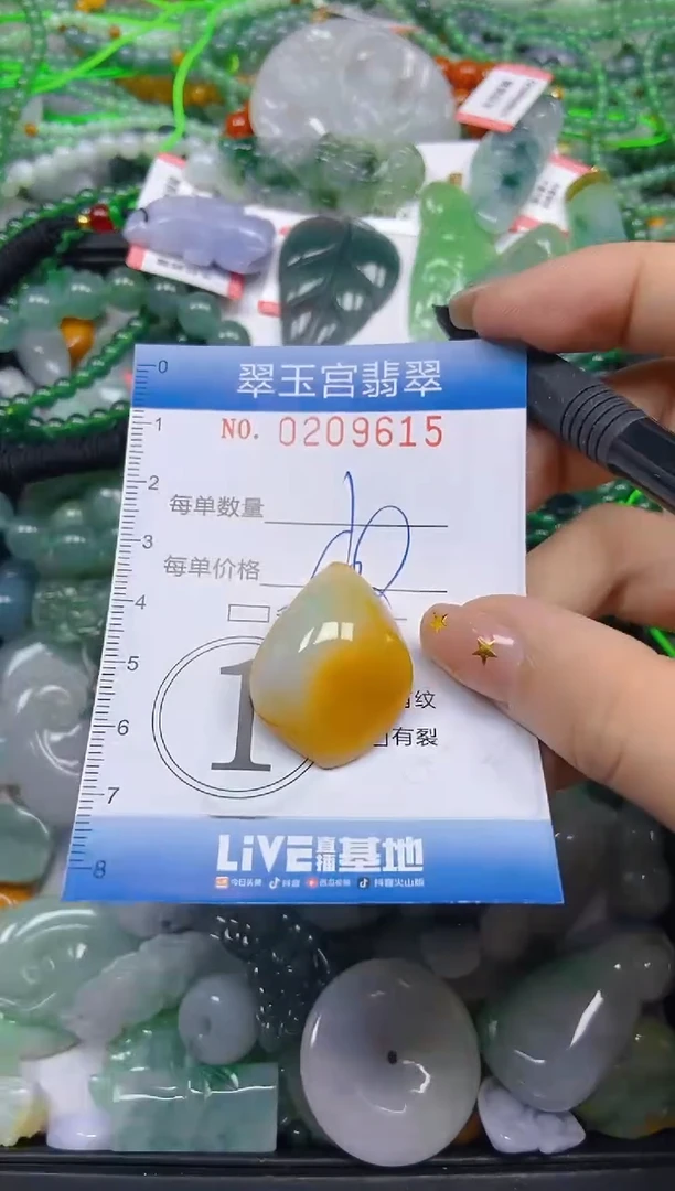 颈饰未镶嵌翡翠闪购C0209615
