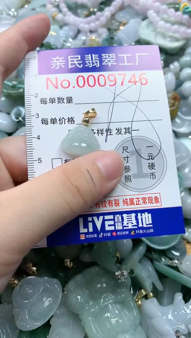 翡翠未镶嵌吊坠(不含链)9746