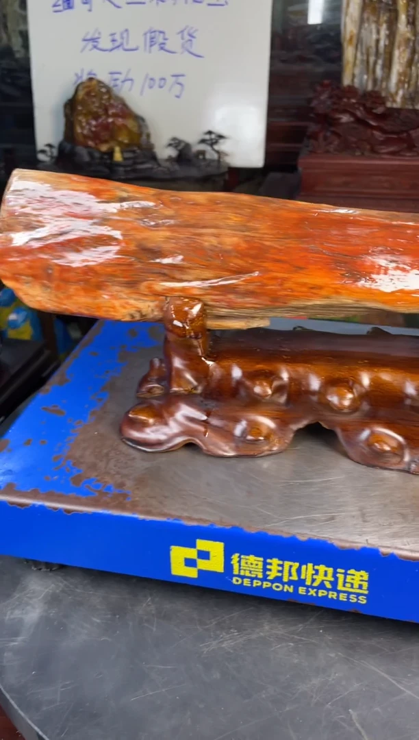 未镶嵌摆件硅化玉19