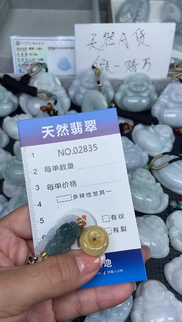 颈饰未镶嵌翡翠纯天然A货翡翠2835
