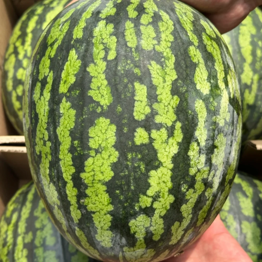 （一物一拍）甘美4K清脆西瓜2斤西瓜同城配海南省