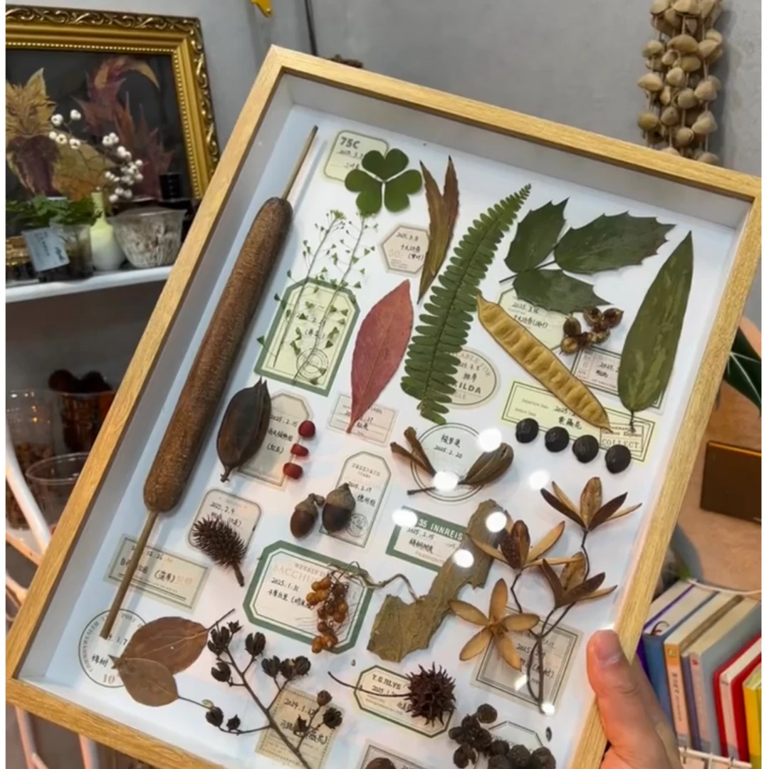 捡秋树叶相框植物收集相框干花手作展示框