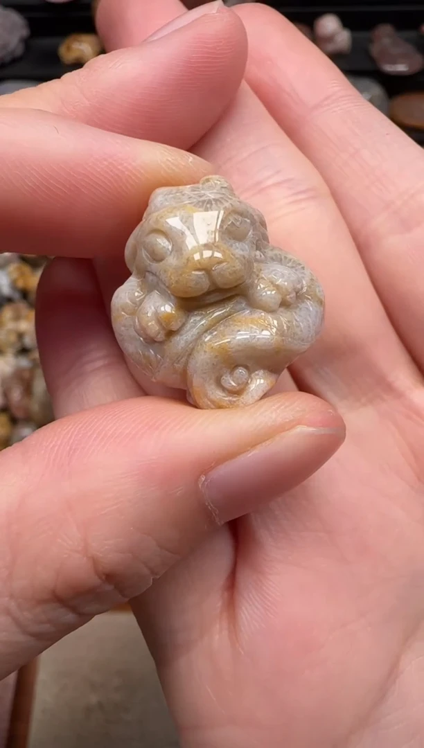 硅化珊瑚（珊瑚玉）未镶嵌颈饰032