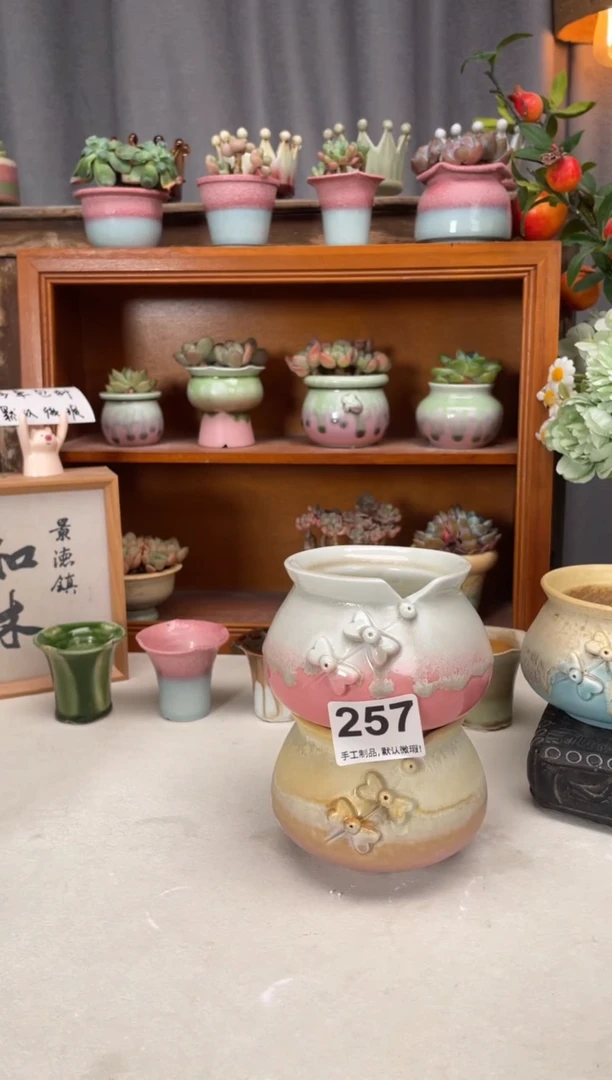 瓷片257小芳直播编号