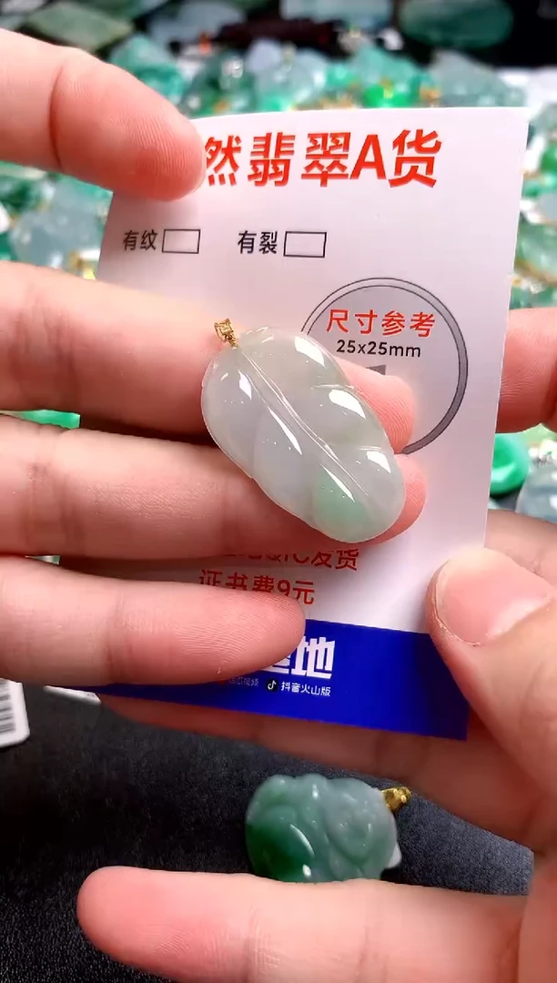 翡翠18K金镶嵌颈饰24000197