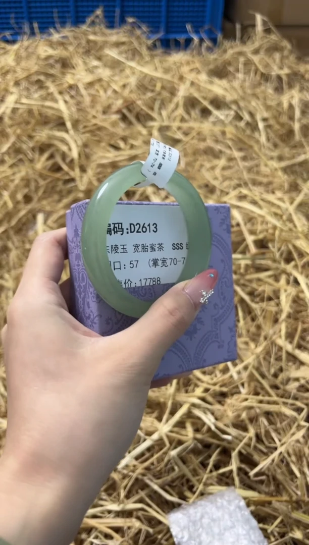 未镶嵌手镯石英质玉D2613
