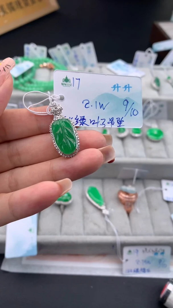 颈饰未镶嵌翡翠自带#送人#，联系客服核对地址~