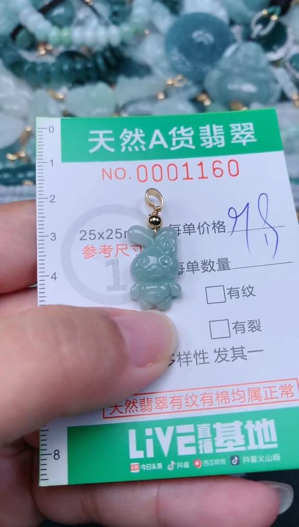 颈饰未镶嵌翡翠.0001160
