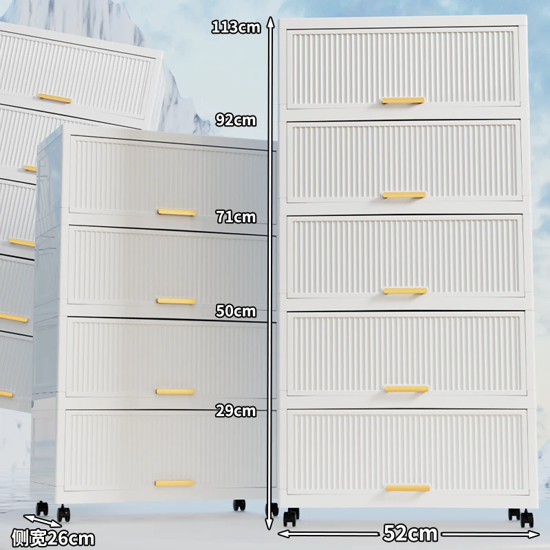 TZ（52面宽）现代上翻盖透明鞋柜加厚收纳柜带门防尘置物架储物柜