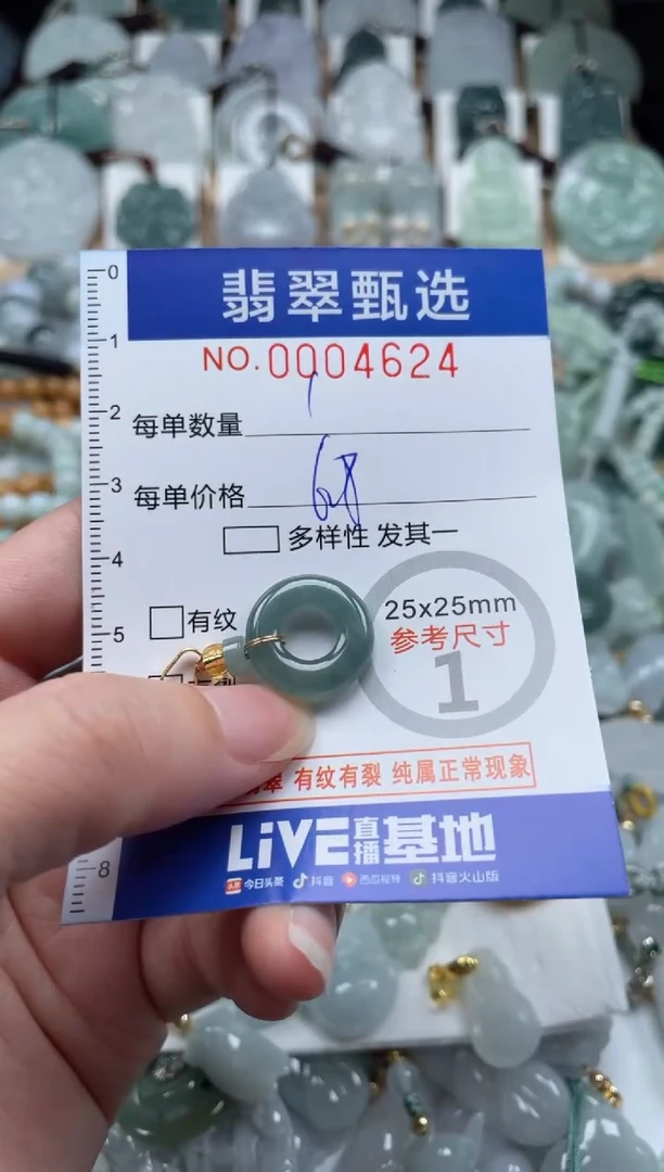 翡翠未镶嵌颈饰00..4624