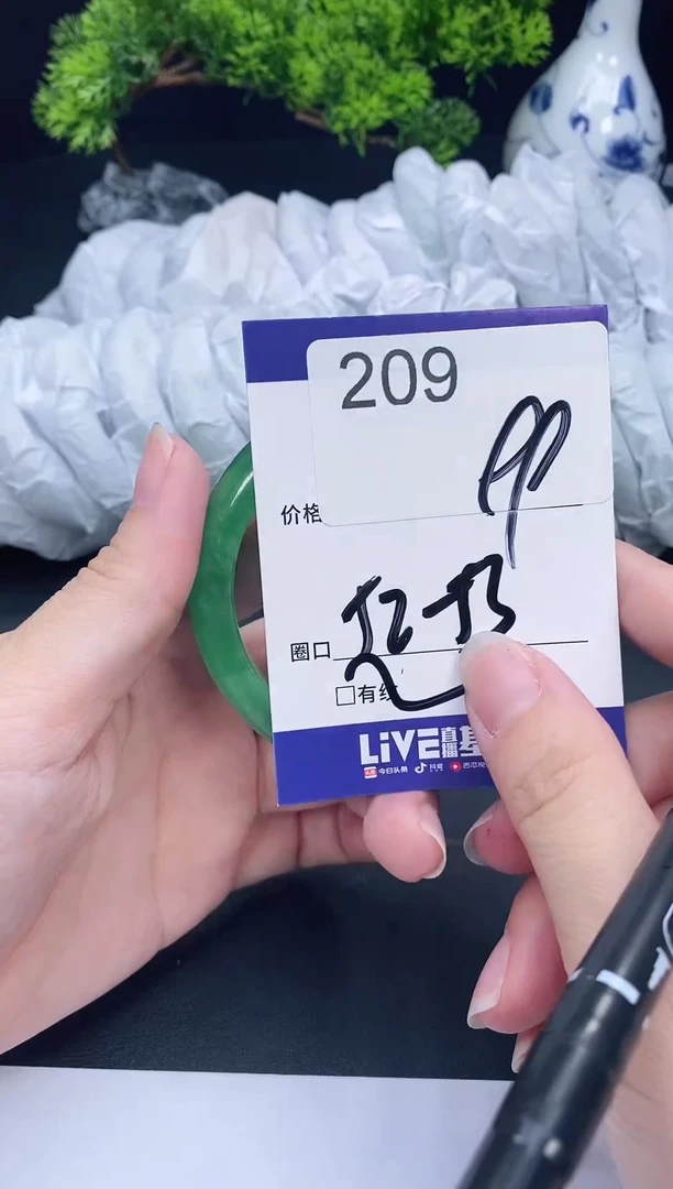 未镶嵌手镯翡翠209