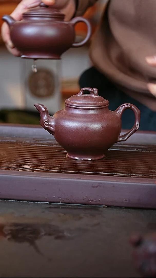 紫砂紫罗兰@@CH05442