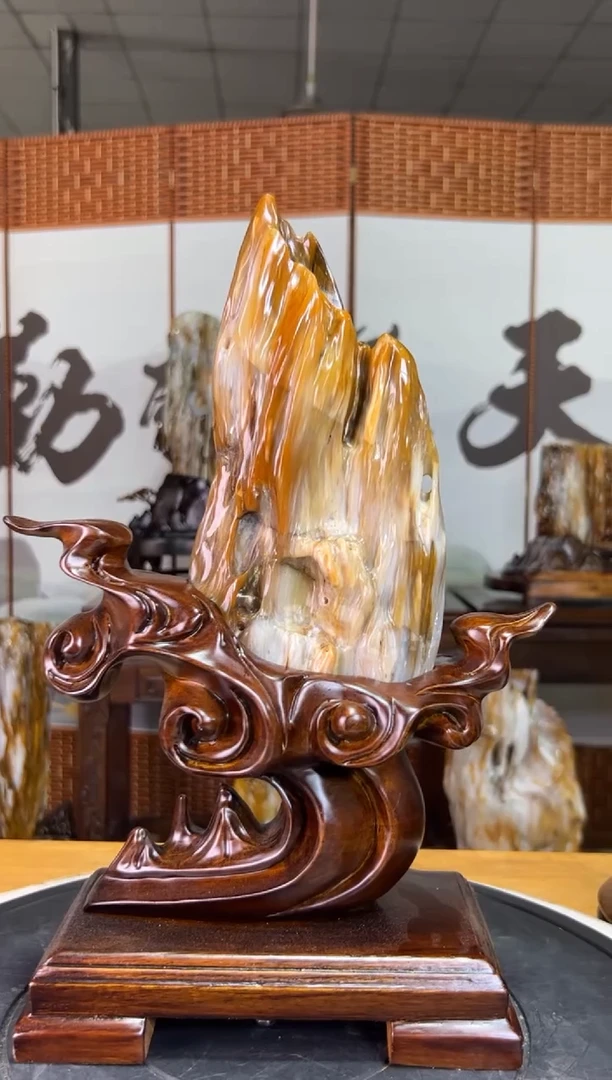未镶嵌珠宝奇石硅化玉10