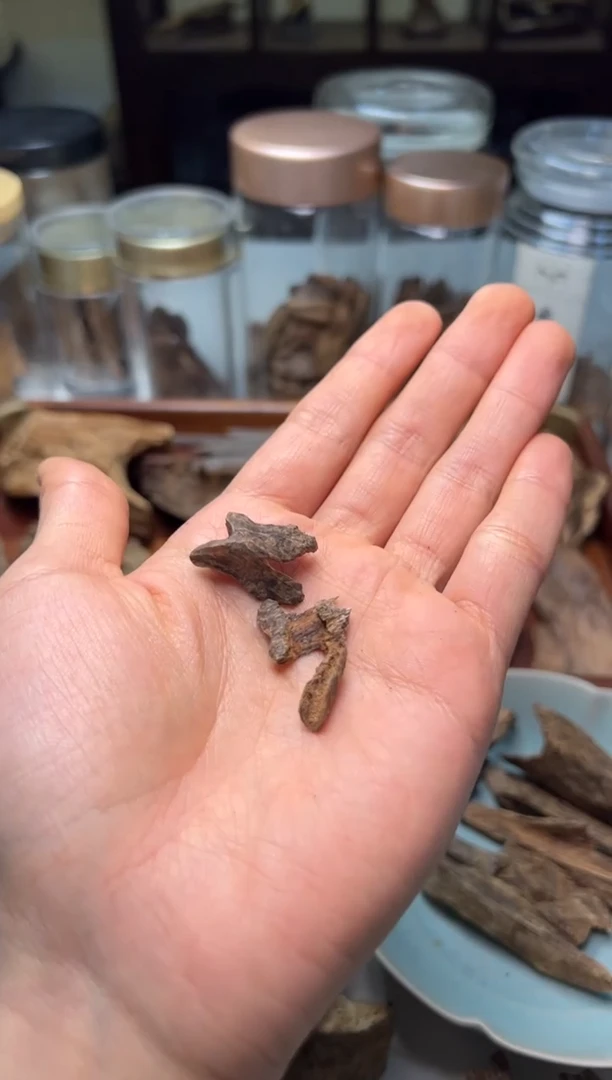 沉香正区芽庄老虫漏1克