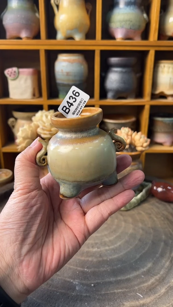 436 内口4【多肉花盆多肉盆】