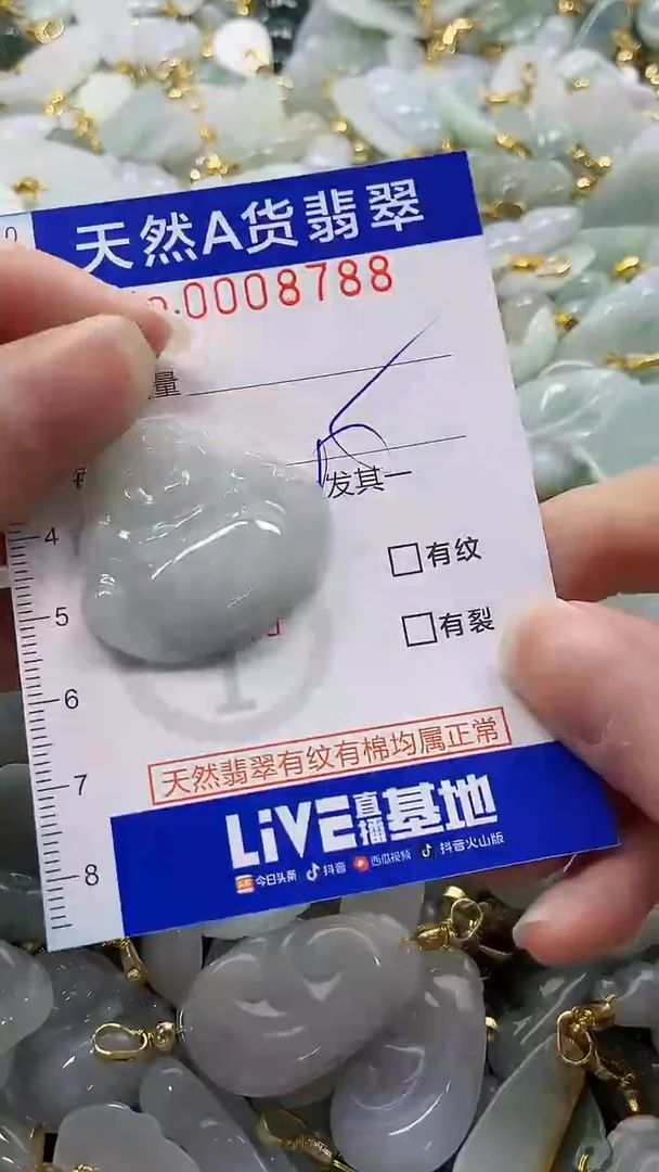 颈饰未镶嵌翡翠纯天然a货翡翠