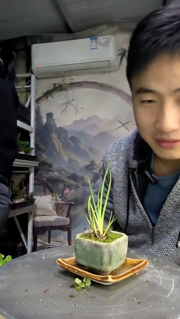 K***祯中青园艺一物一拍261